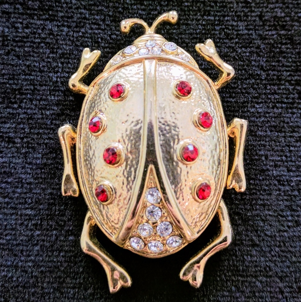 Beetle Bug Brooch Pin gold tone ruby red stones